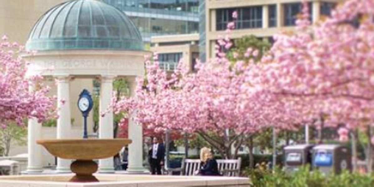 The George Washington University